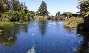 neuseeland freedom camping Rotorua